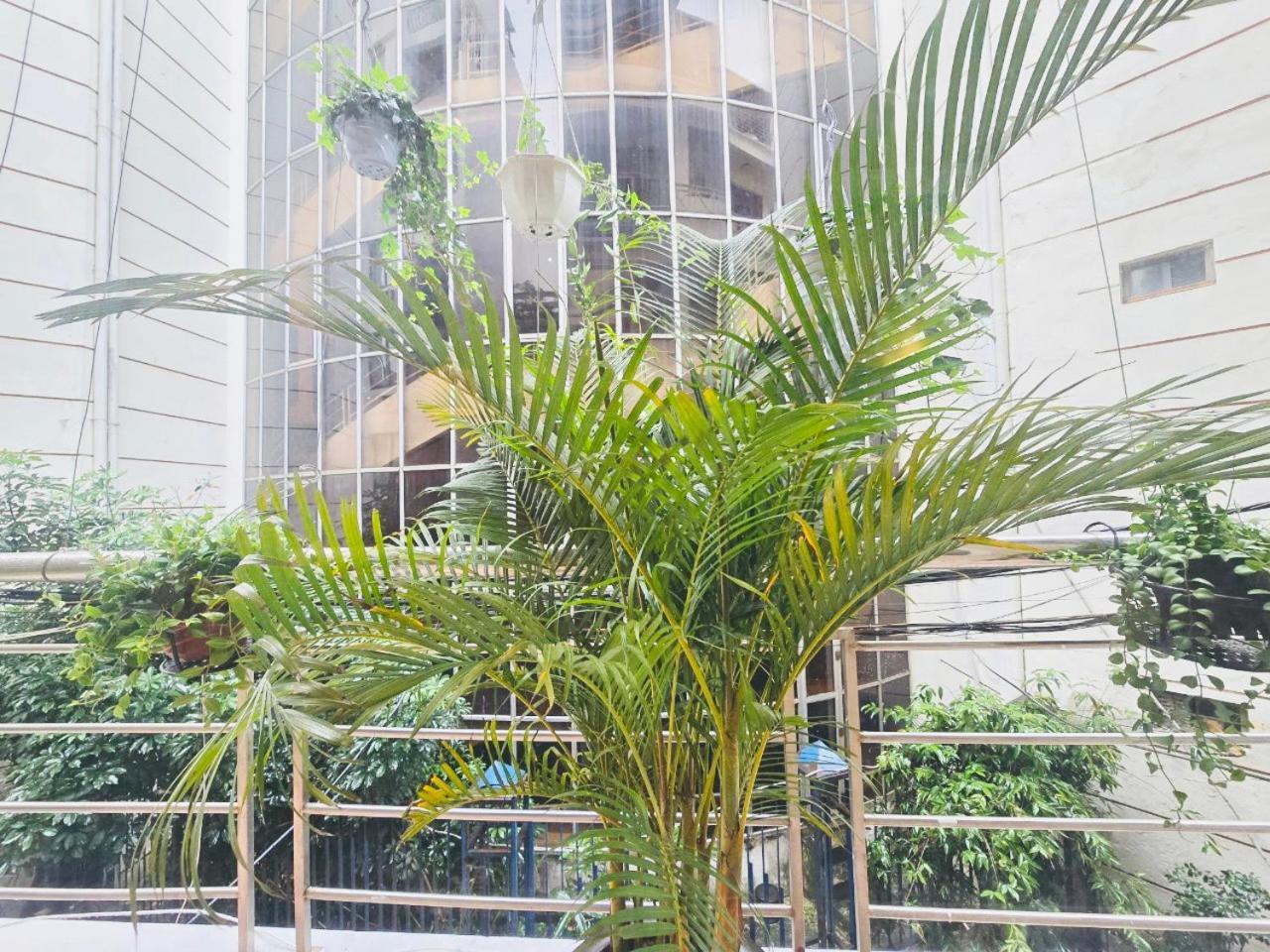 Oh Trendy Homes Pham Ngu Lao * Hanoï